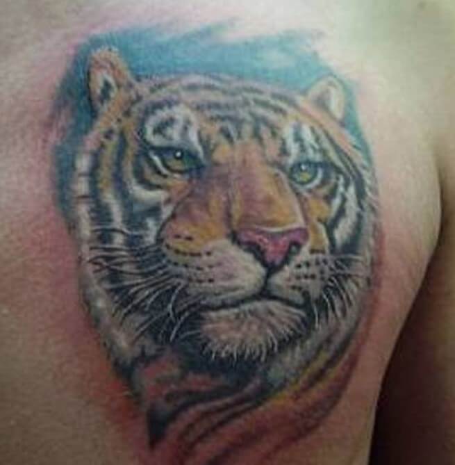 Thailand Tattoo of Tiger on Mans Chest Stock Photo Alamy